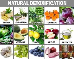 Nuts for Detoxification: The Natural Way to Cleanse Your Body
