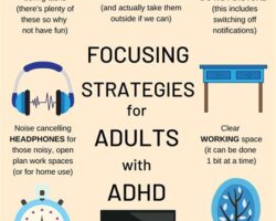 Nuts and ADHD: How They Can Support Focus and Concentration