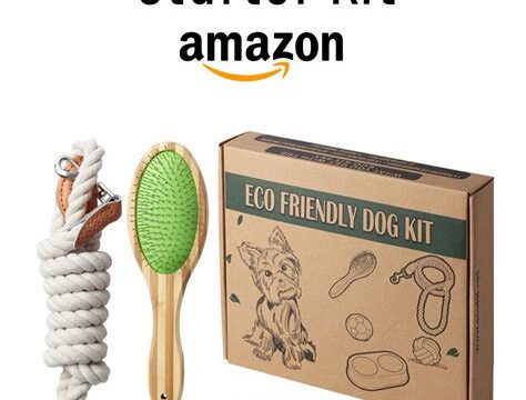 Eco-friendly Pet Accessories: Sustainable Choices for Your Four-Legged Friend