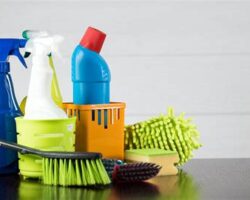 Eco-Friendly Cleaning Products for a Healthy Home Environment