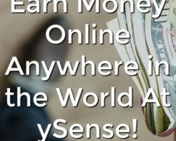 Diverse Dollars: Making Money from Anywhere and Everywhere