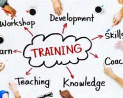 Training Workshop: Building Skills and Knowledge for Personal and Professional Growth