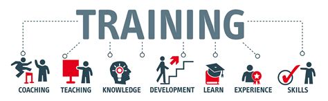 Training Workshop: Developing Essential Skills for Career Advancement